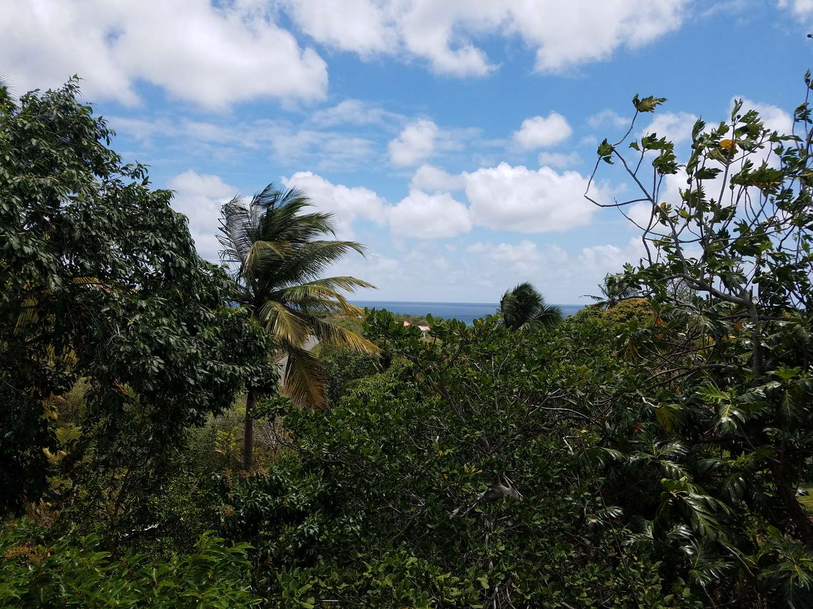 Incomplete House / Fixer Upper For Sale on 8,746 sq. ft. Land