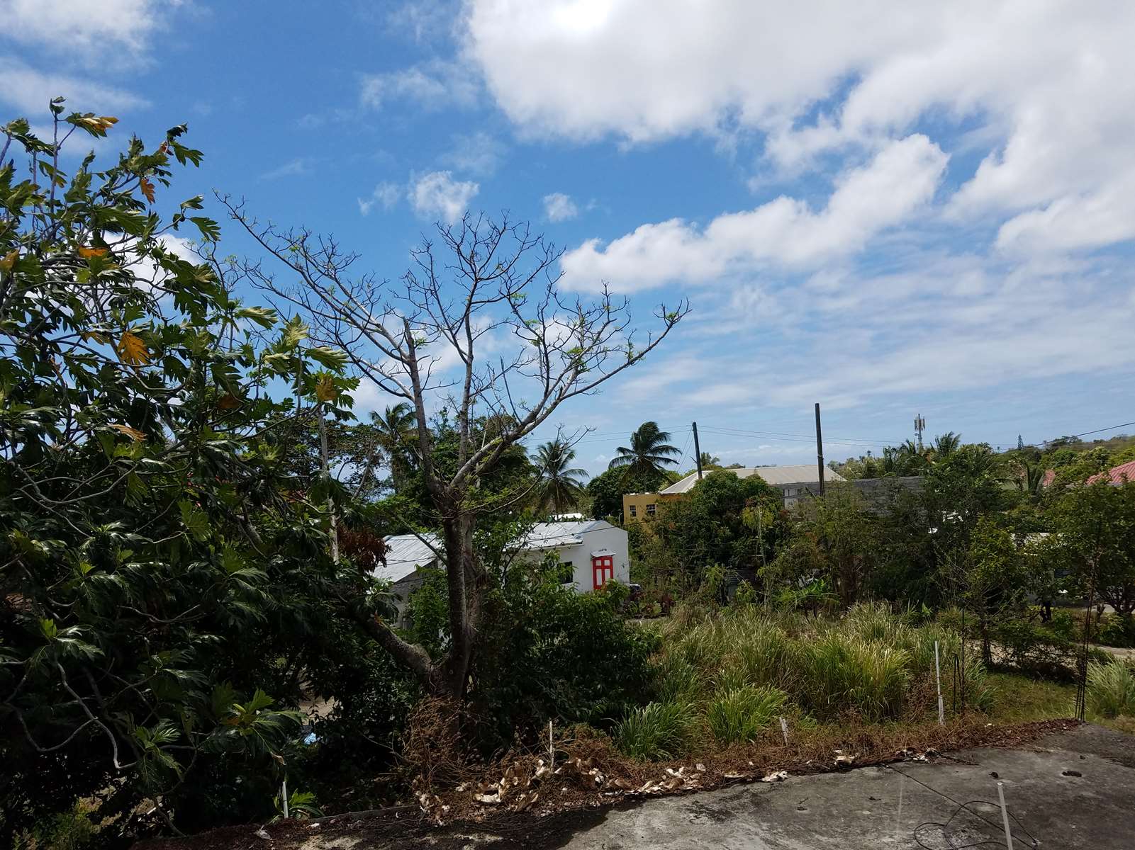 Incomplete House / Fixer Upper For Sale on 8,746 sq. ft. Land