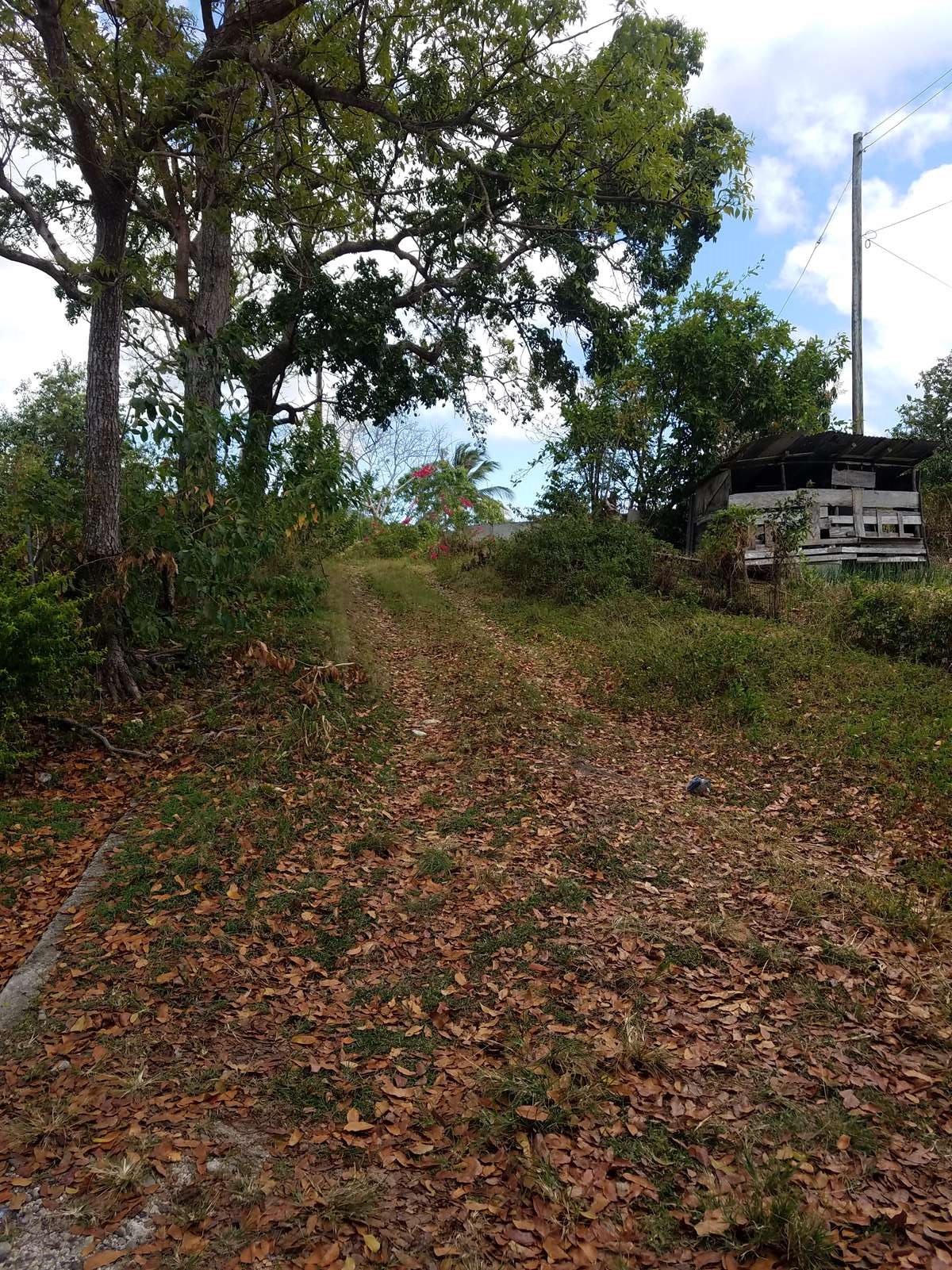 Incomplete House / Fixer Upper For Sale on 8,746 sq. ft. Land
