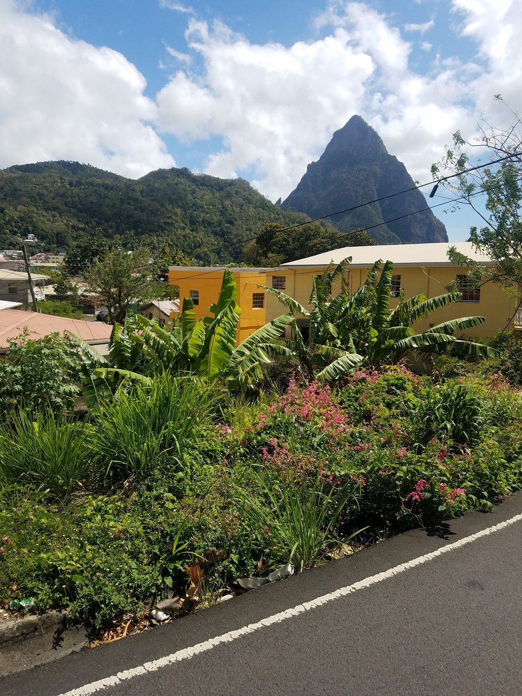 lot for sale in soufriere view