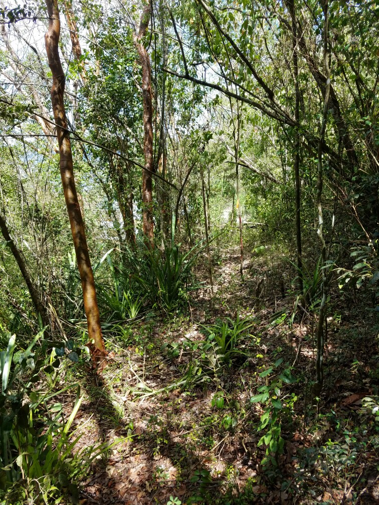 18,000 sq. ft. Land for sale in Marigot Bay St Lucia