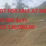 land for sale at monchy st lucia