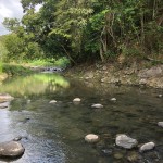 agriculture land for sale in st lucia