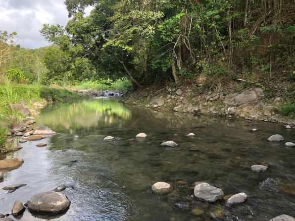 agriculture land for sale in st lucia
