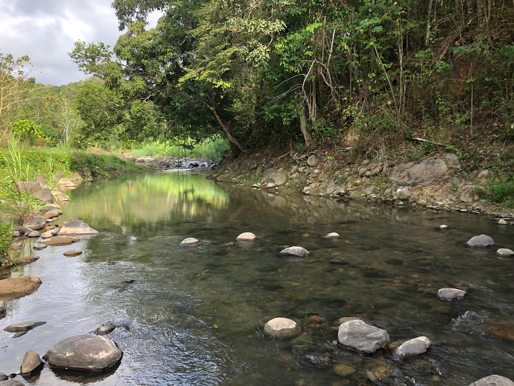 agriculture land for sale in st lucia