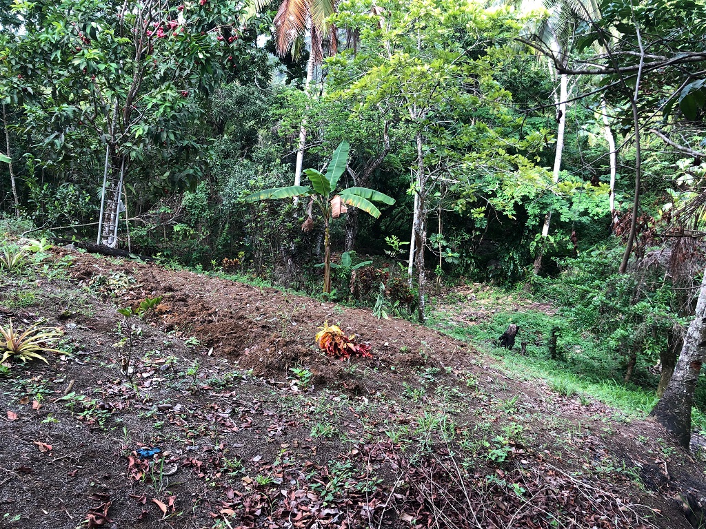 5 Acres Agricultural Land for Sale