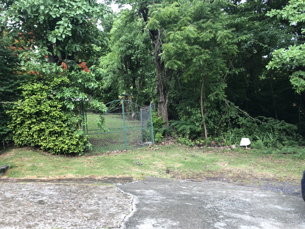 Land For Sale at Sunny Acres, Castries LC – 16,500 sq. ft.