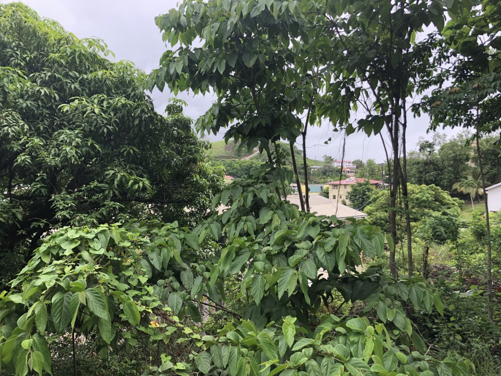 land for sale at sunny acres castries st lucia with views