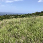 Choiseul lot for sale st lucia