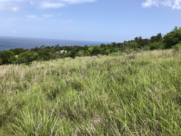 Choiseul lot for sale st lucia