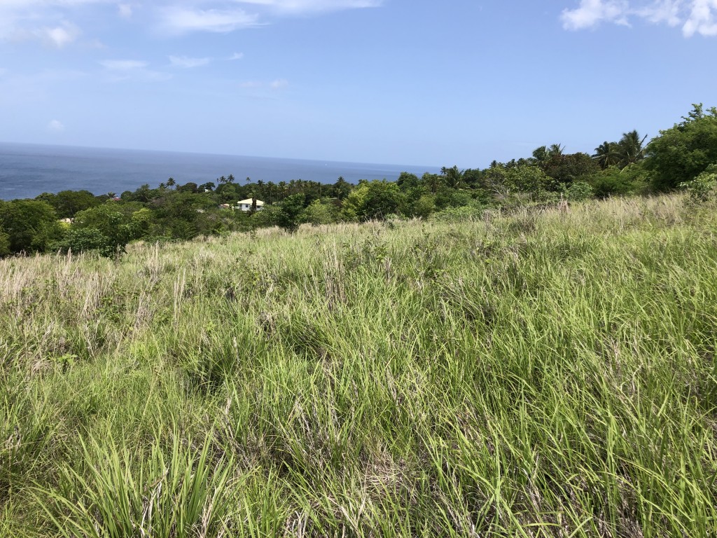 Choiseul lot for sale st lucia