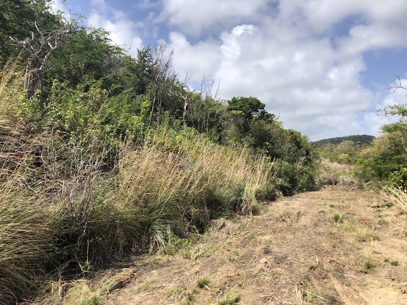 houses for sale in st lucia rodney bay