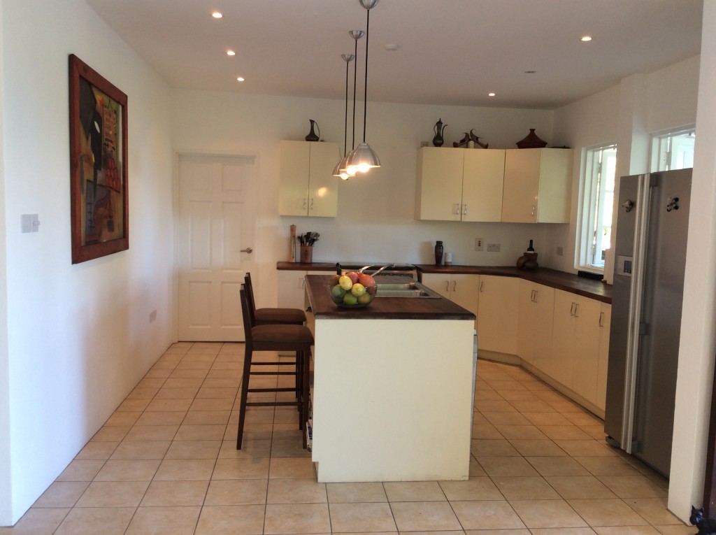 marigot st lucia villa for sale kitchen