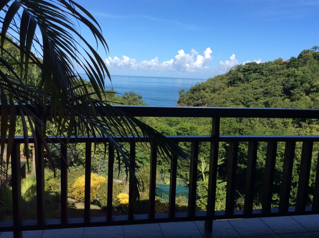marigot st lucia villa for sale view