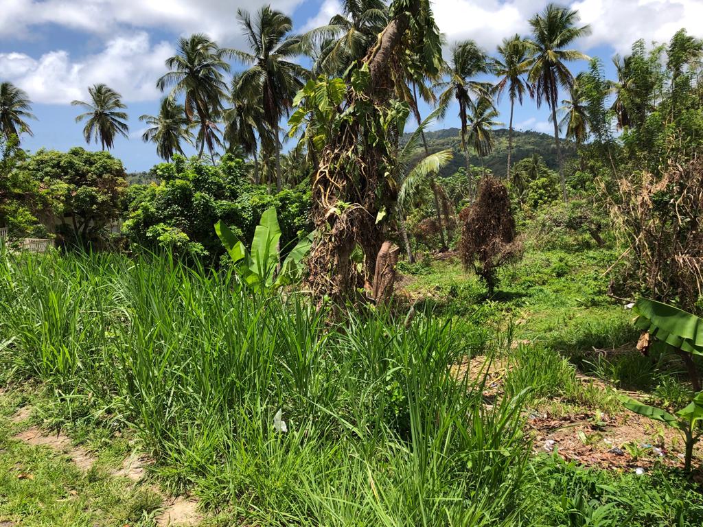 10 Acres Mixed-Use Land for sale at Deruisseau Micoud