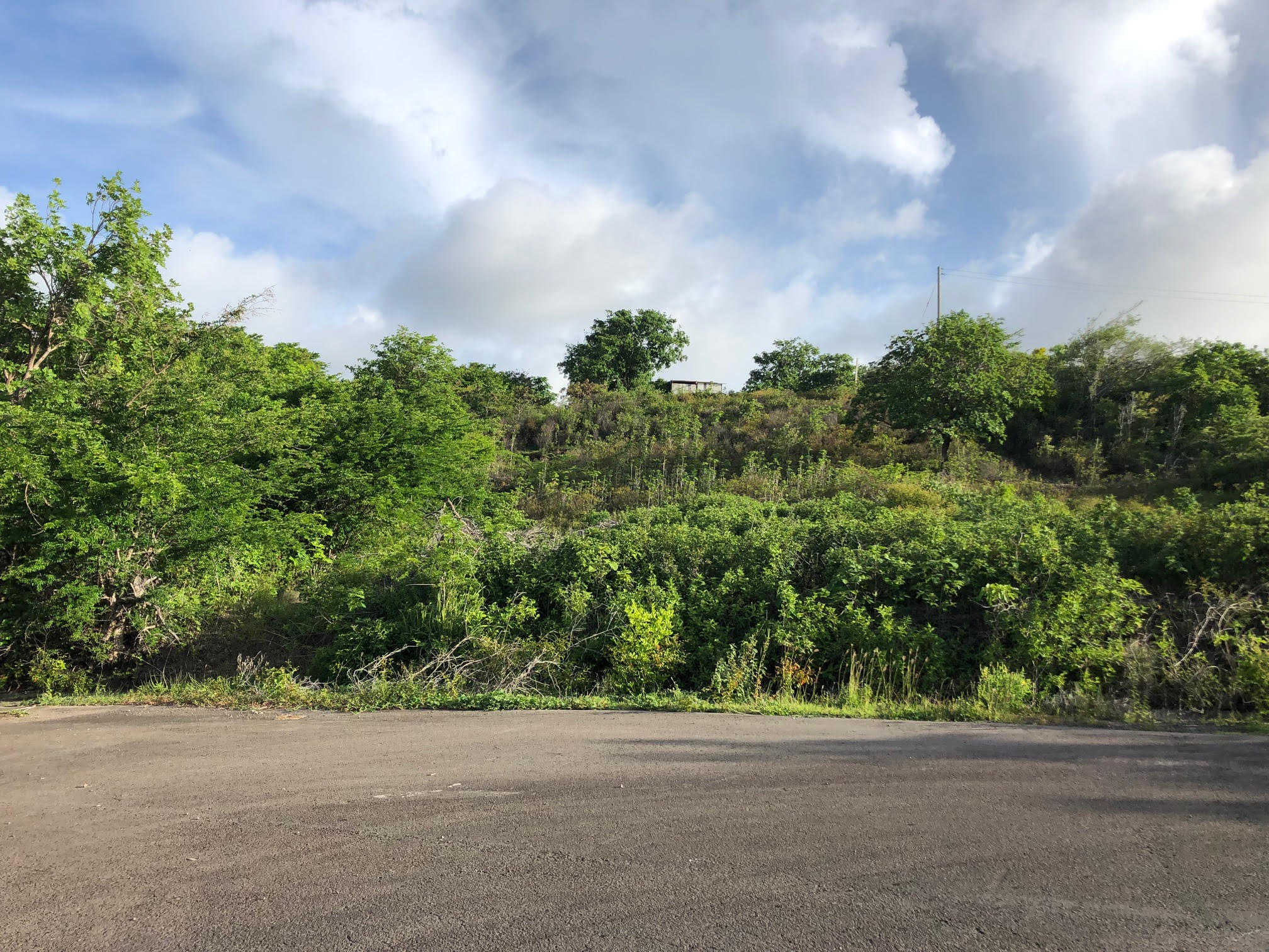 land for sale in cap estate south hills property