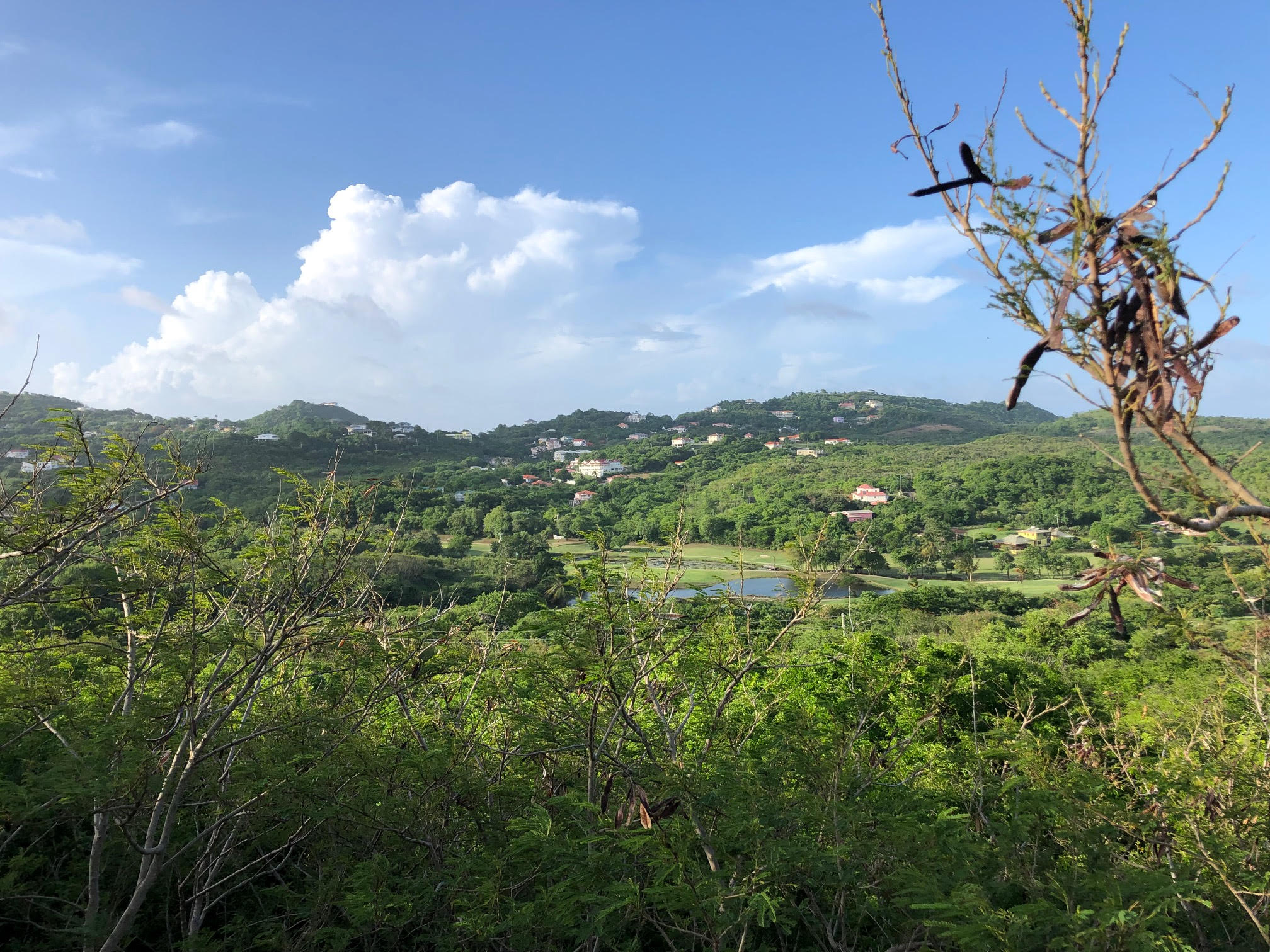 land for sale in cap estate south hills golf course