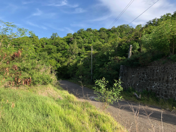 land for sale in cap estate south hills