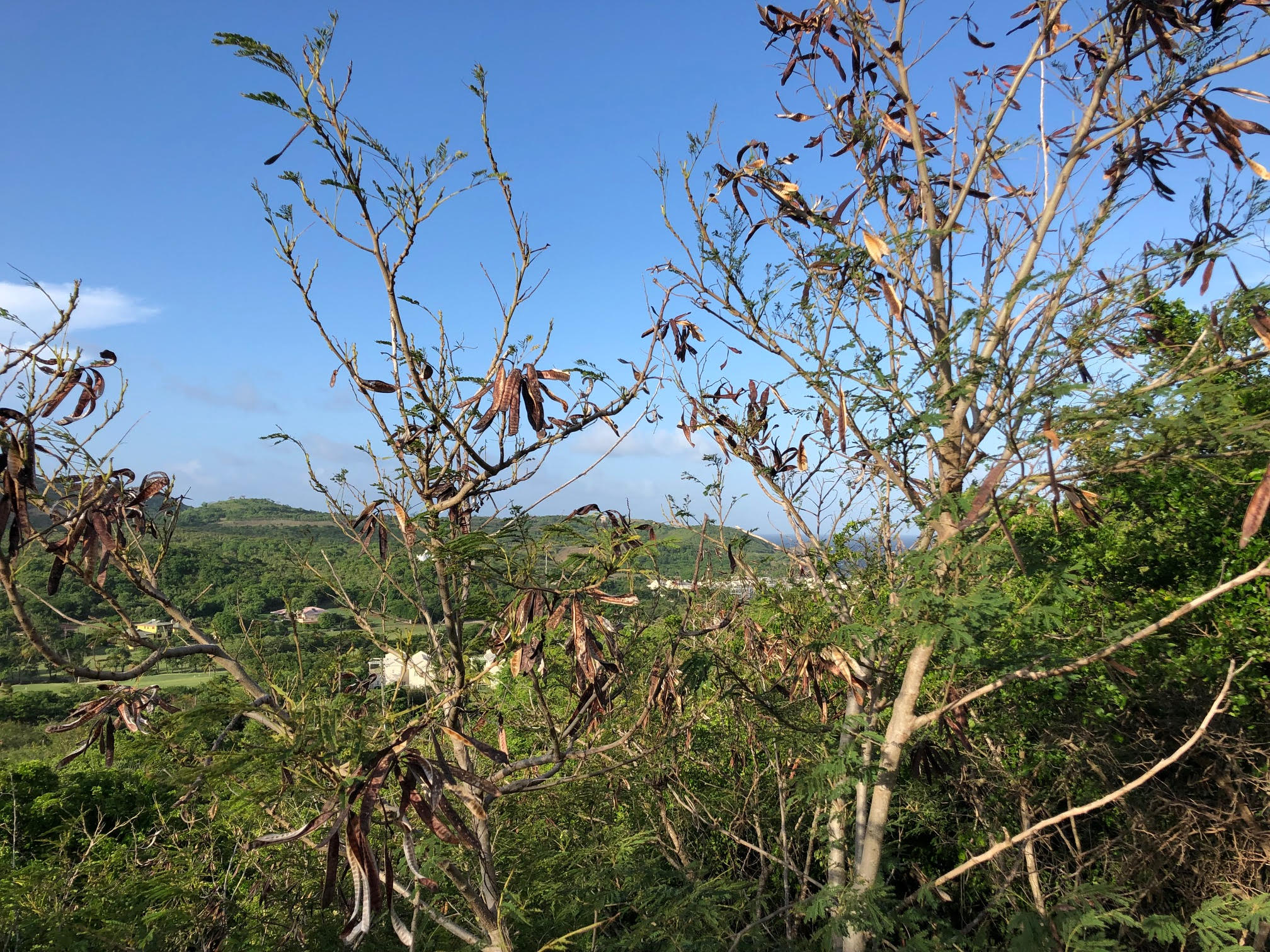 land for sale in cap estate south hills st lucia