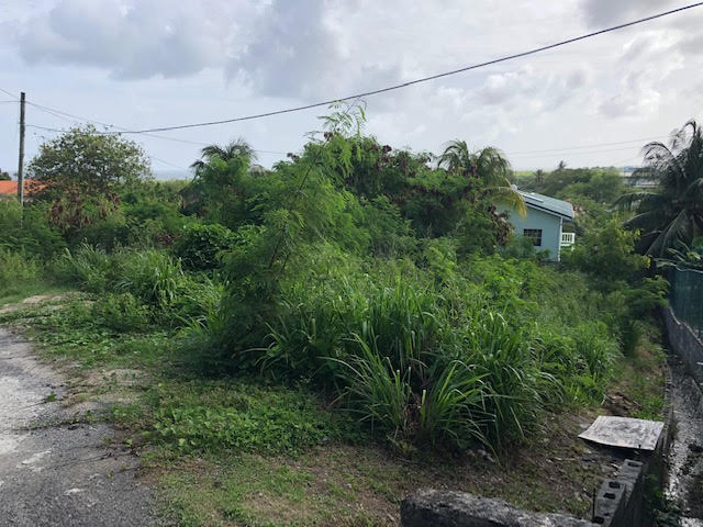 land for sale at cedar heights vieux fort saint lucia