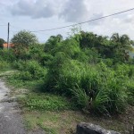 cedar heights lot for sale st lucia