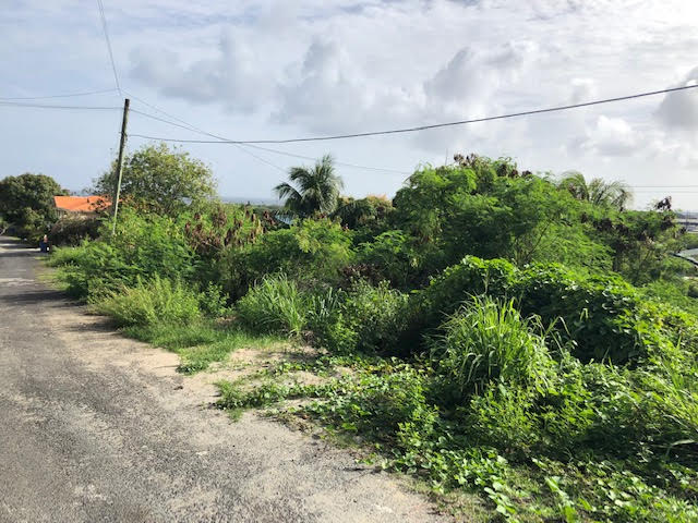 land for sale at cedar heights vieux fort couth road