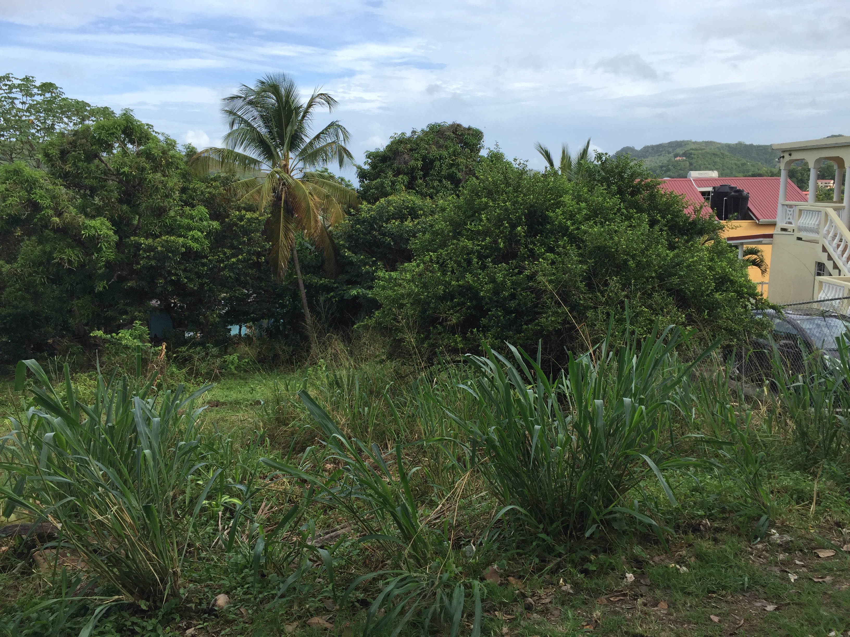 9920 Sq Ft Land For Sale at Monier Gros-Islet