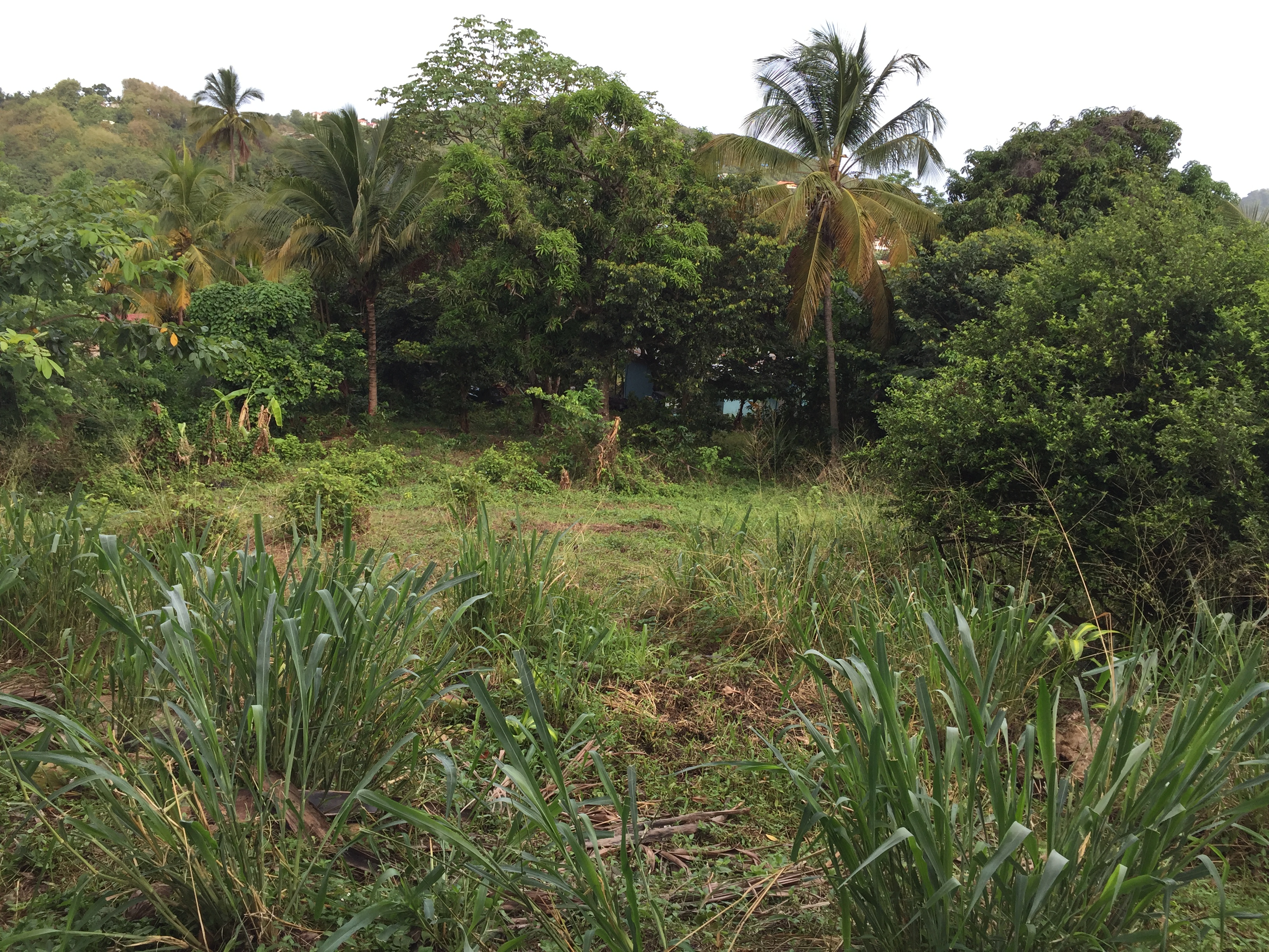 9920 Sq Ft Land For Sale at Monier Gros-Islet