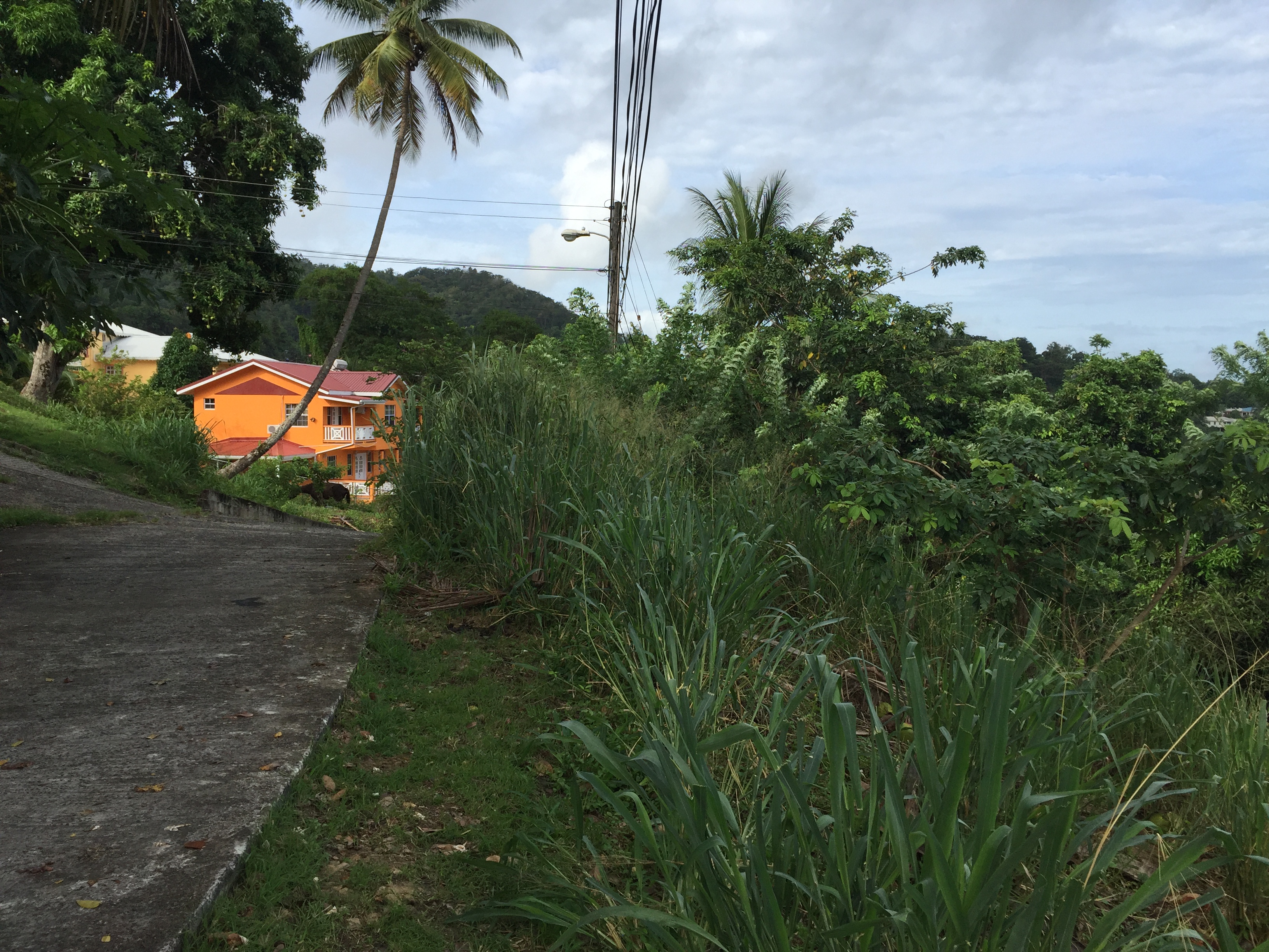 9920 Sq Ft Land For Sale at Monier Gros-Islet
