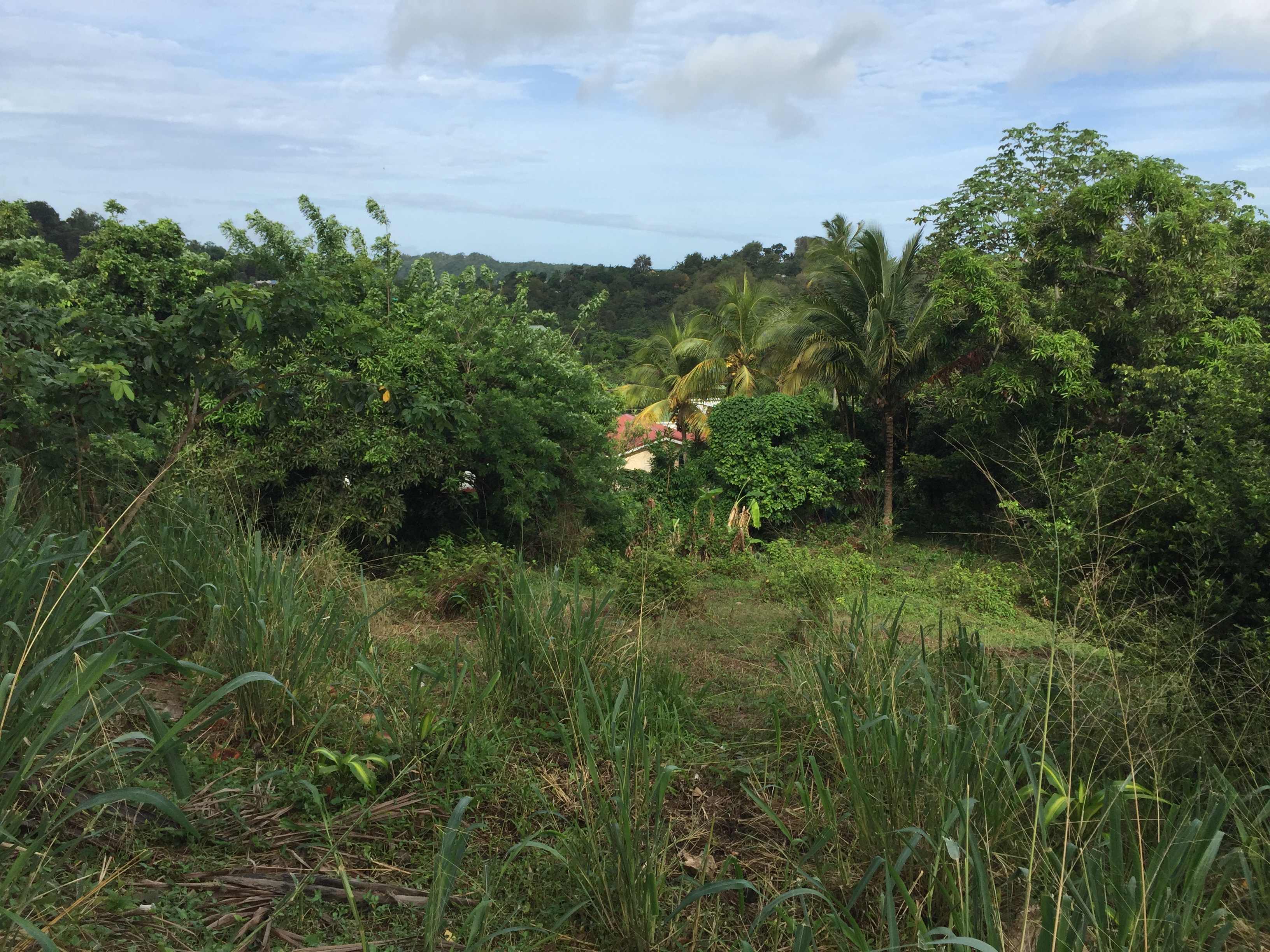 9920 Sq Ft Land For Sale at Monier Gros-Islet