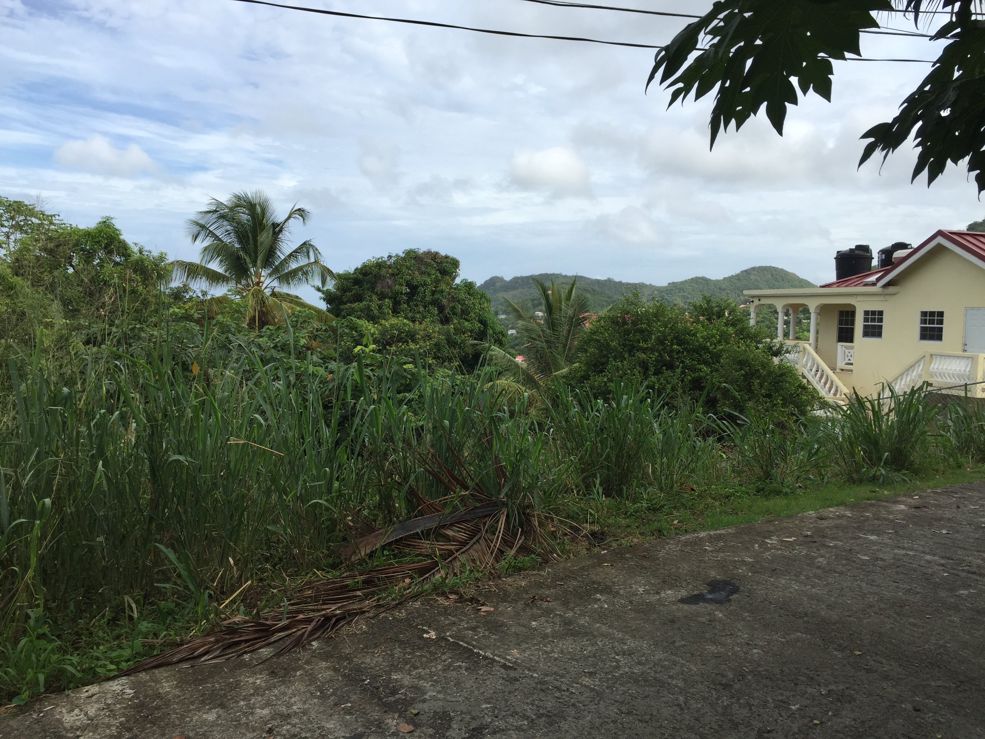 9920 Sq Ft Land For Sale at Monier Gros-Islet
