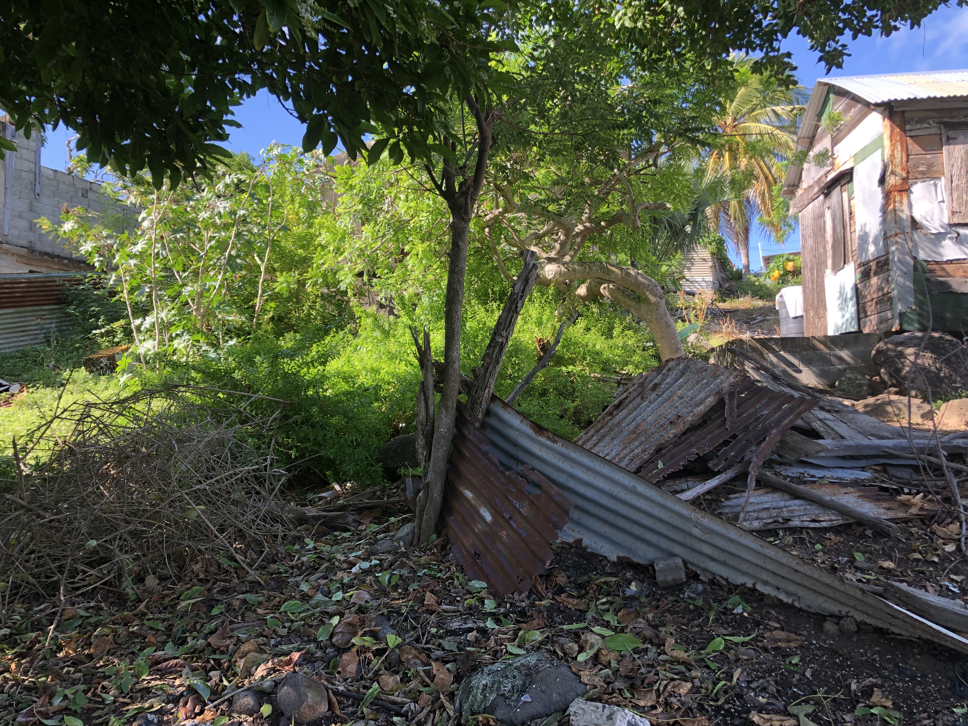 Waterfront Lot For Sale In Micoud St Lucia