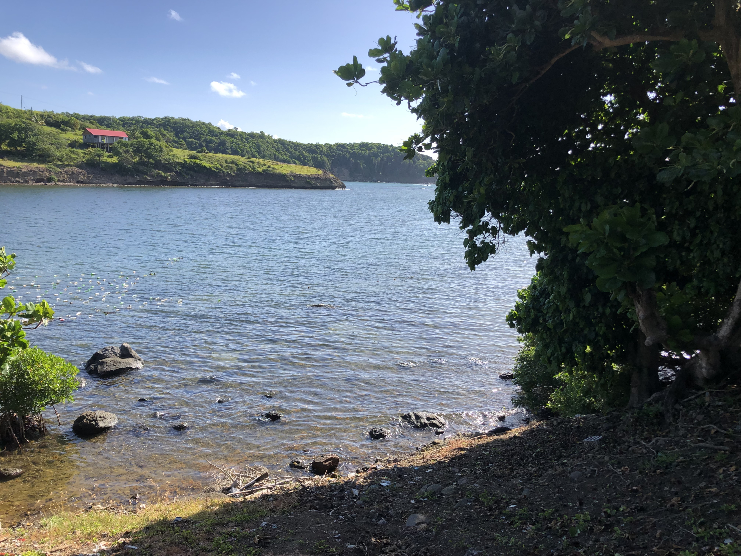 land for sale in Micoud Saint Lucia