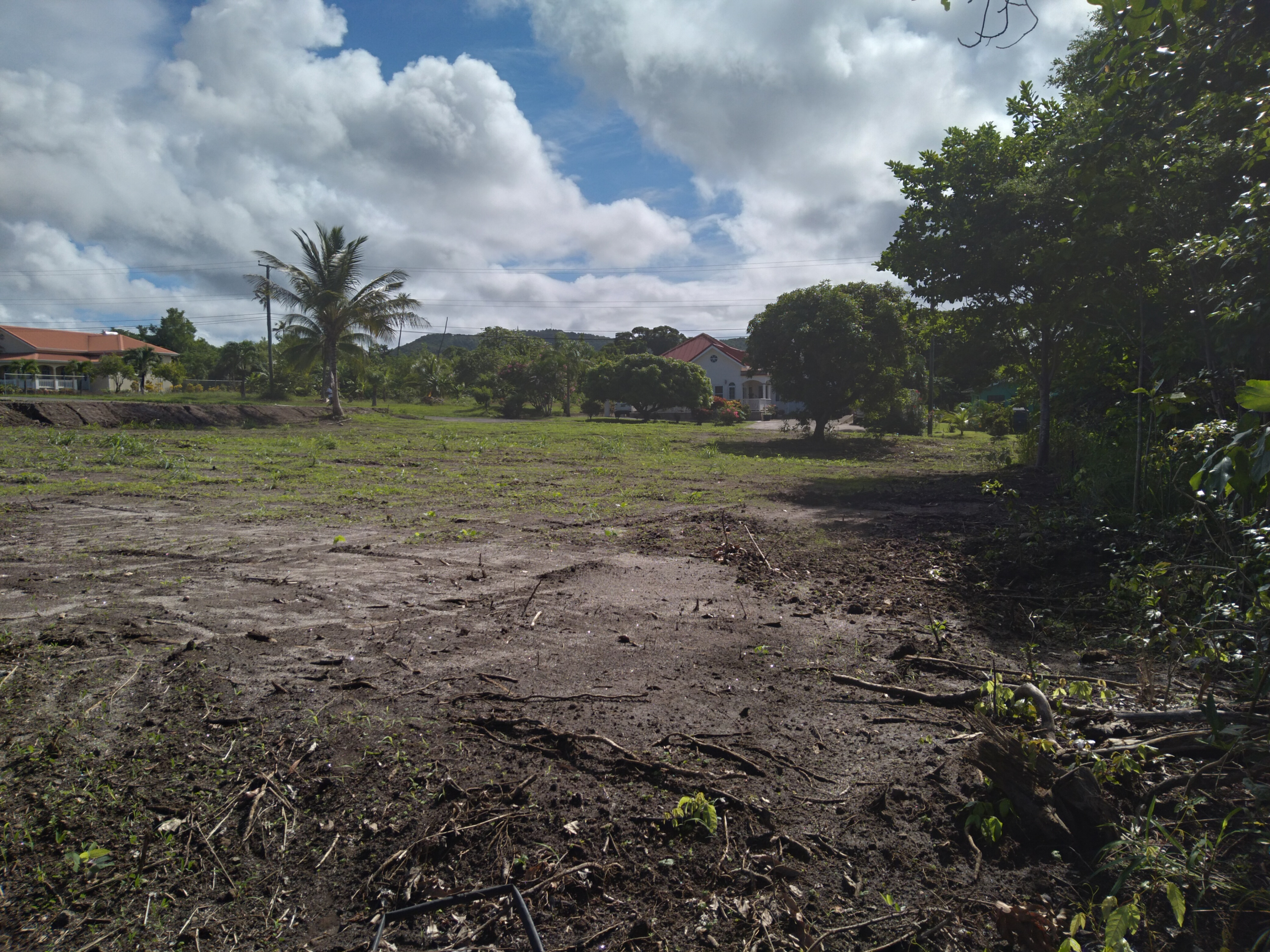 Houses For Sale In St. Lucia