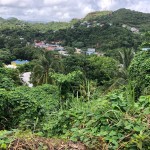 land for sale at corinth
