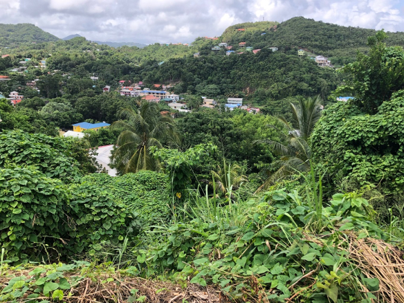 land for sale at corinth