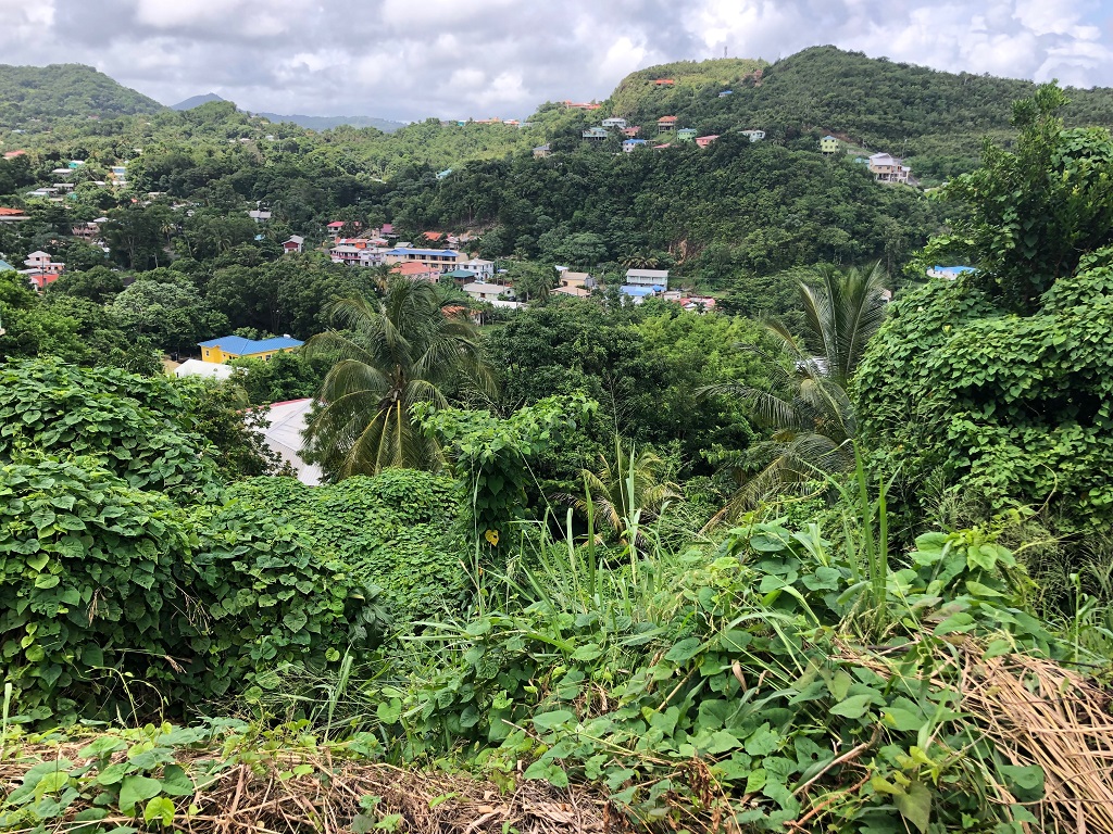 land for sale at corinth