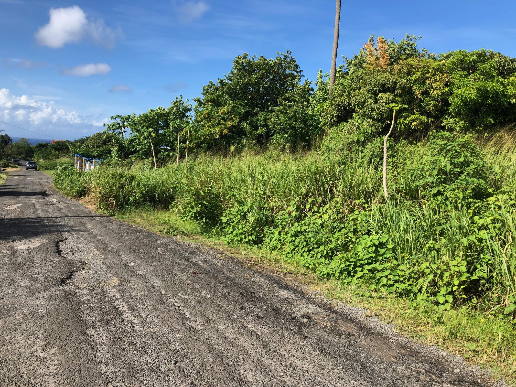 11,150 Sq. Ft. Land at Balembouche Choiseul