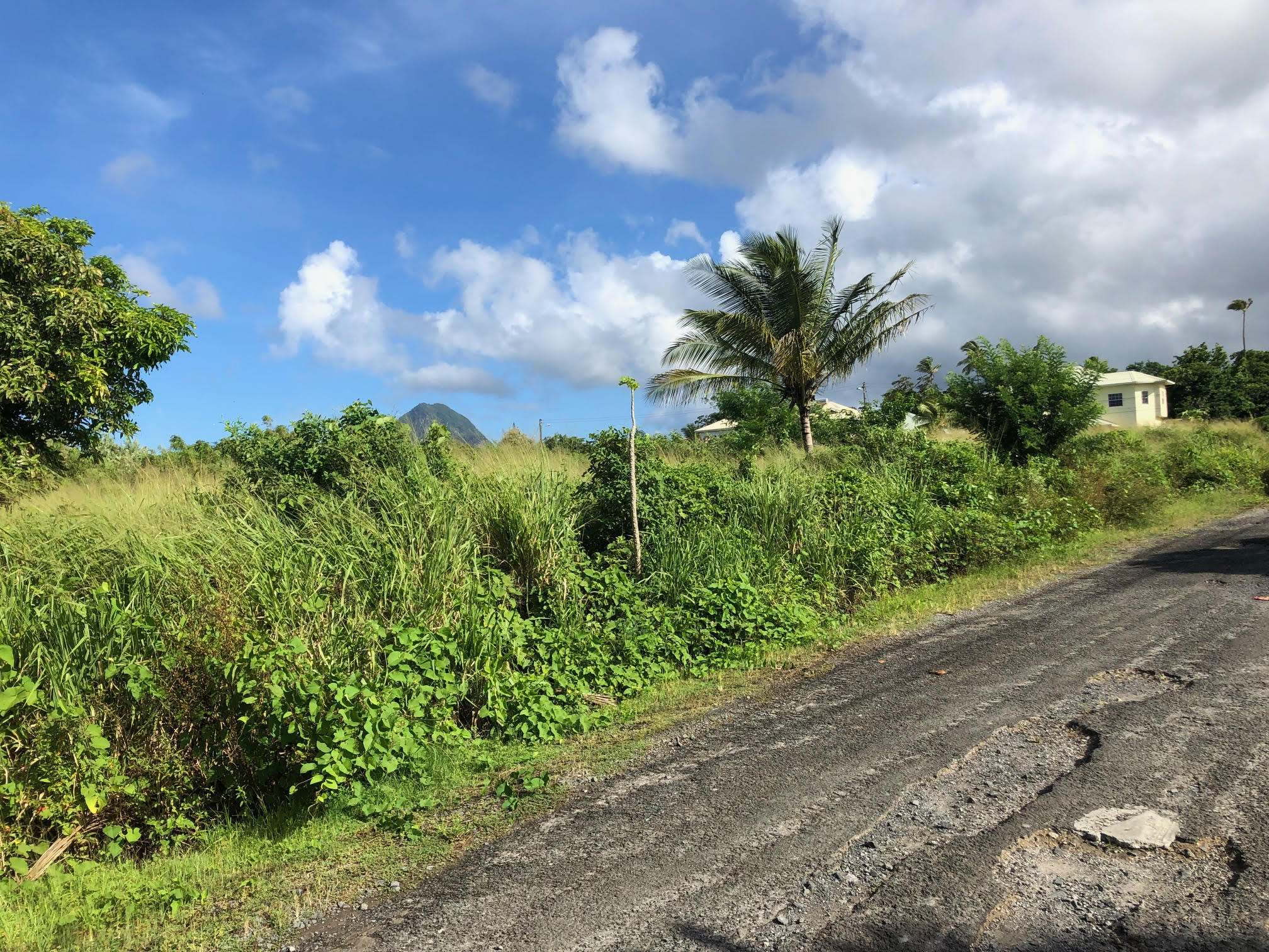 11,150 Sq. Ft. Land at Balembouche Choiseul