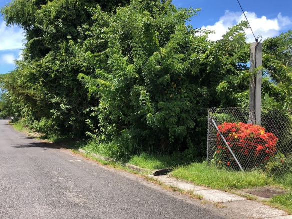 land for sale at hewanorra orchard