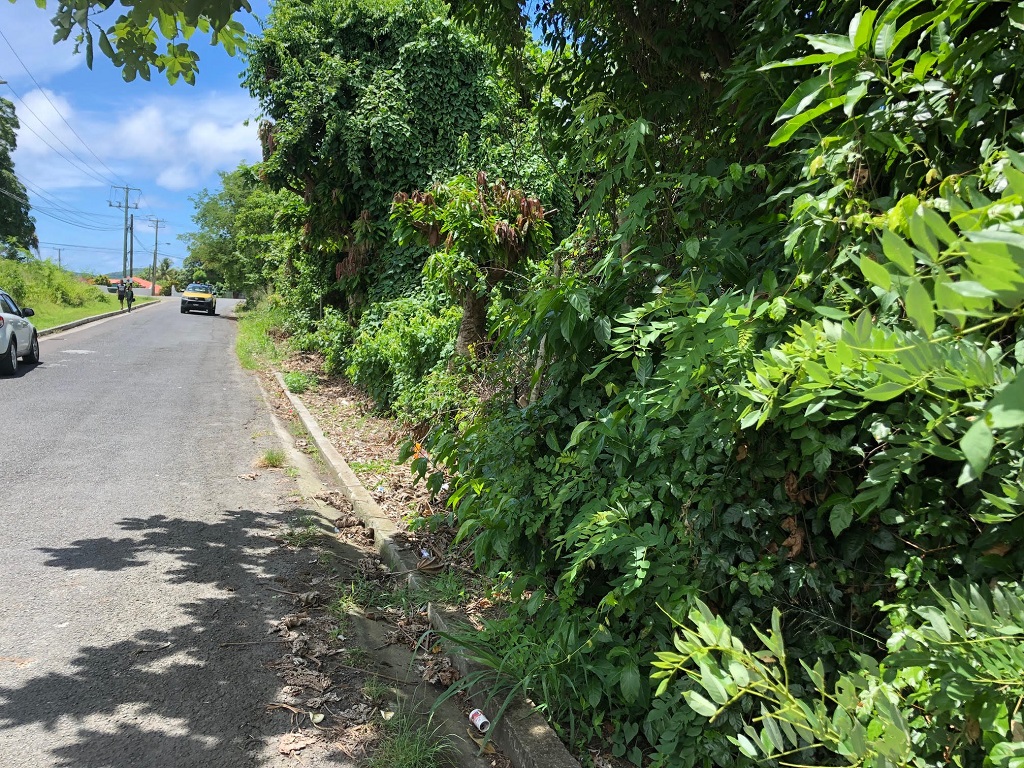 hewanorra lot for sale vieux fort