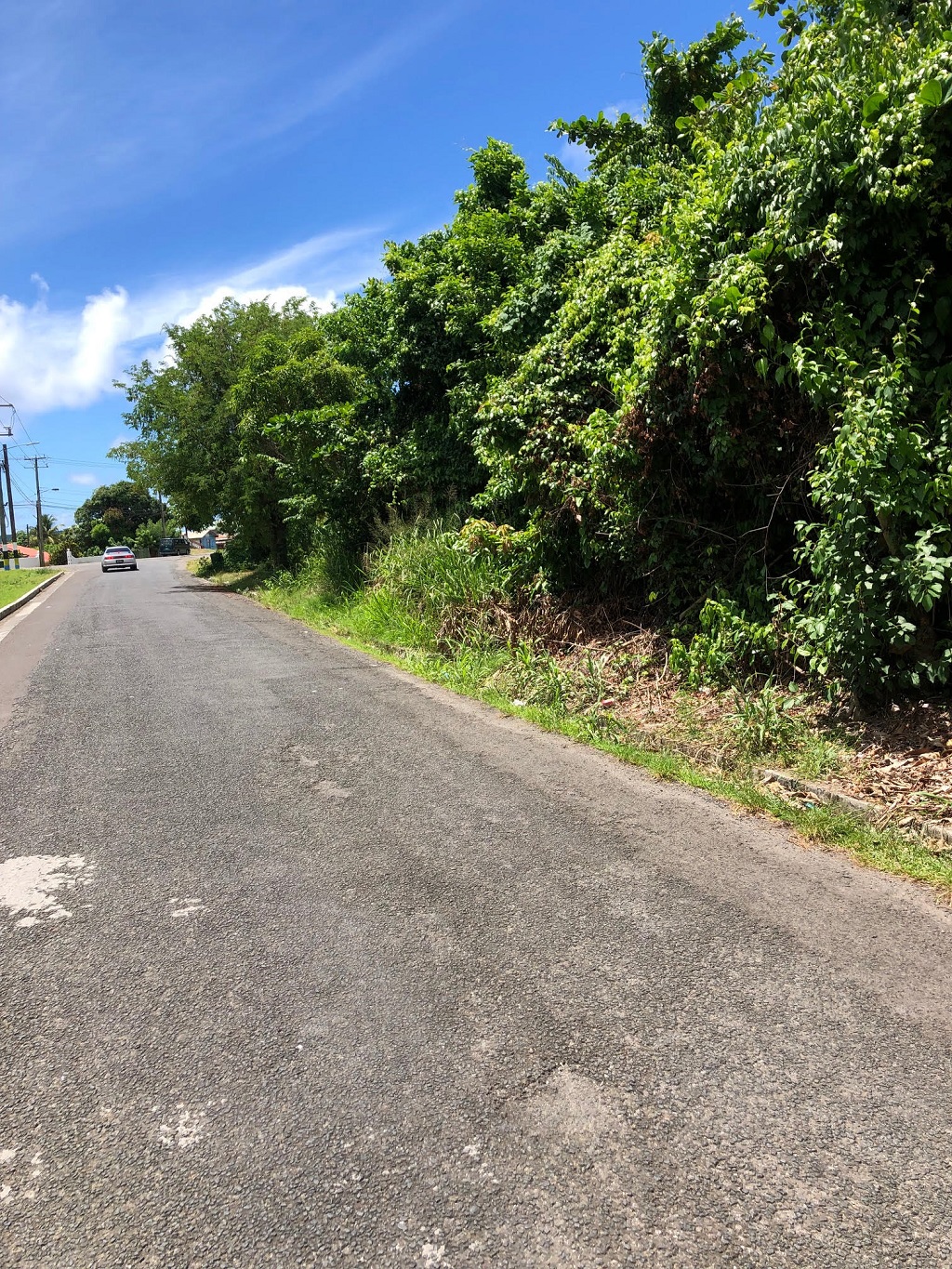 Two Adjacent Lots For Sale at Hewanorra Orchard