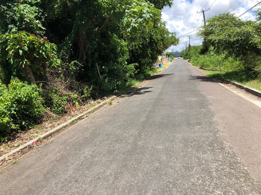 Two Adjacent Lots For Sale at Hewanorra Orchard