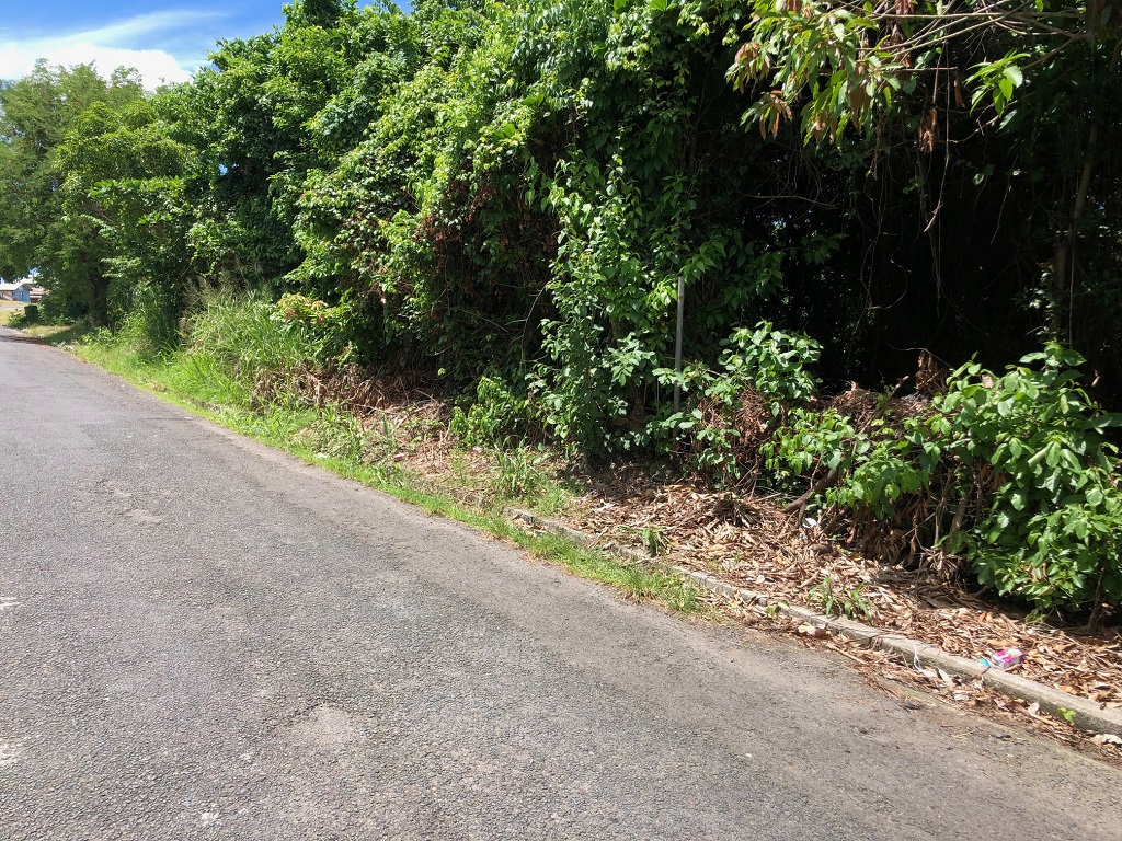 Two Adjacent Lots For Sale at Hewanorra Orchard