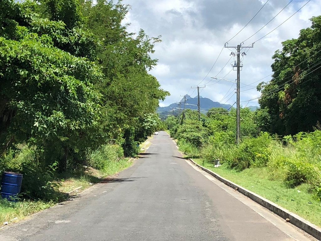 Two Adjacent Lots For Sale at Hewanorra Orchard