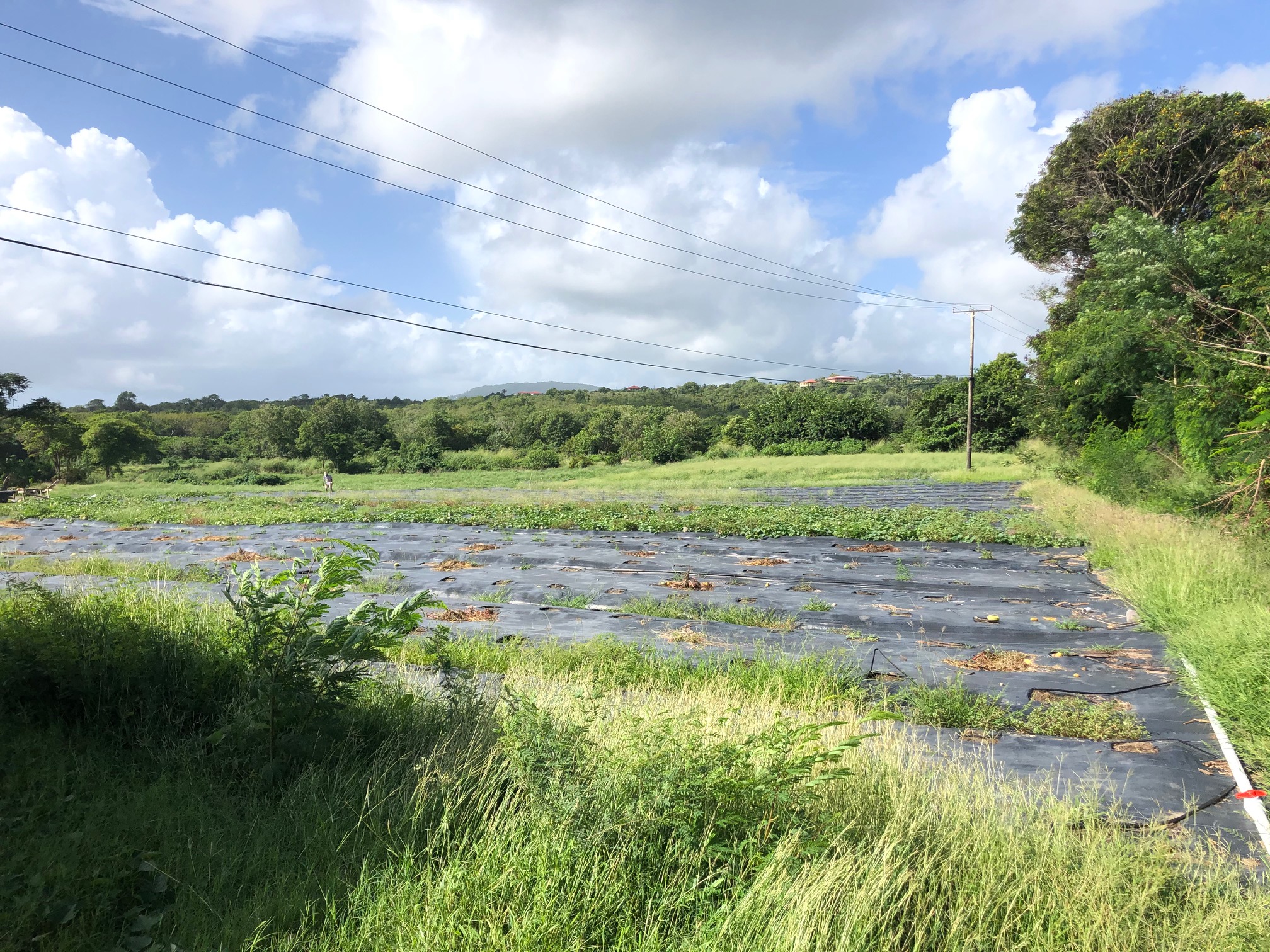 land for sale in micoud