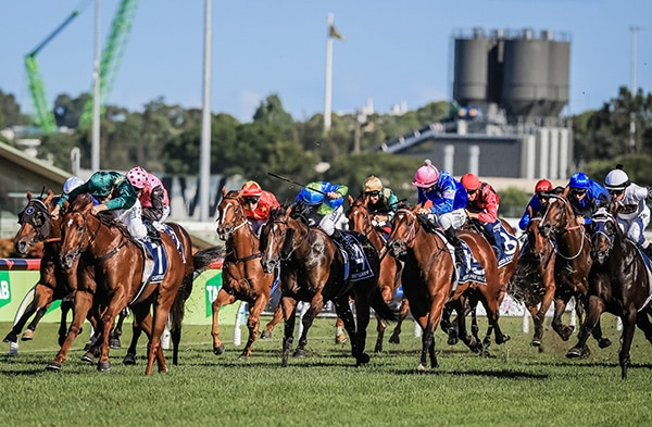 realty st. lucia real estate The Royal Saint Lucia Turf Club Inaugural Event - CECF 2019 horse race