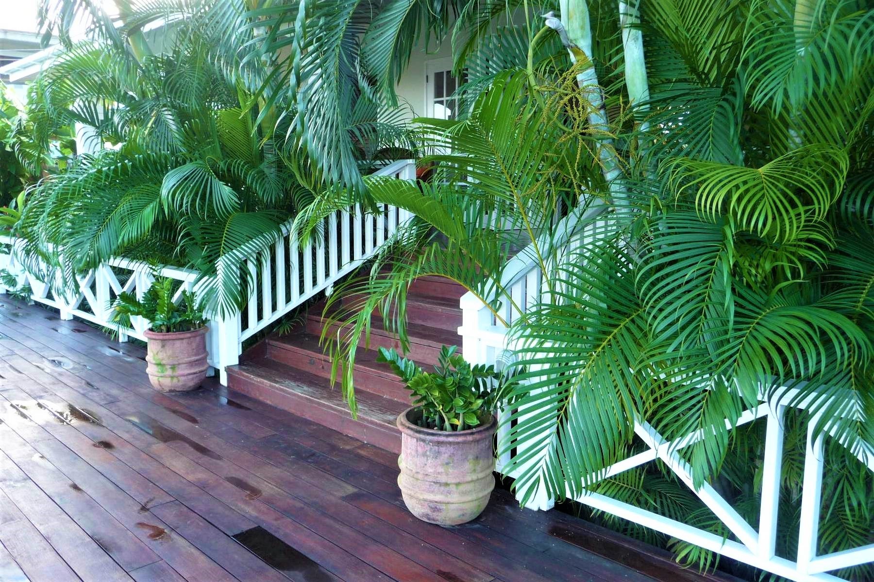 st lucia real estate market
