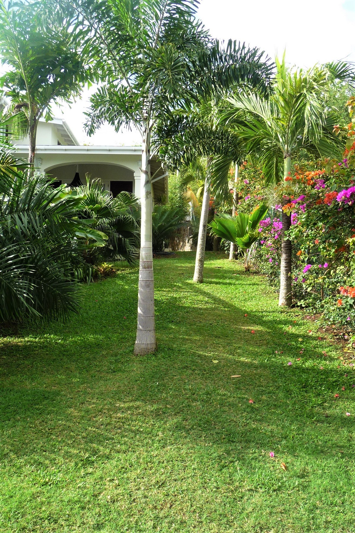 real estate st lucia caribbean
