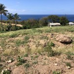 30000 q ft land for sale choiseul